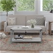 Bowery Hill 2-Tier Engineered Wood Coffee Table in Aspen Gray