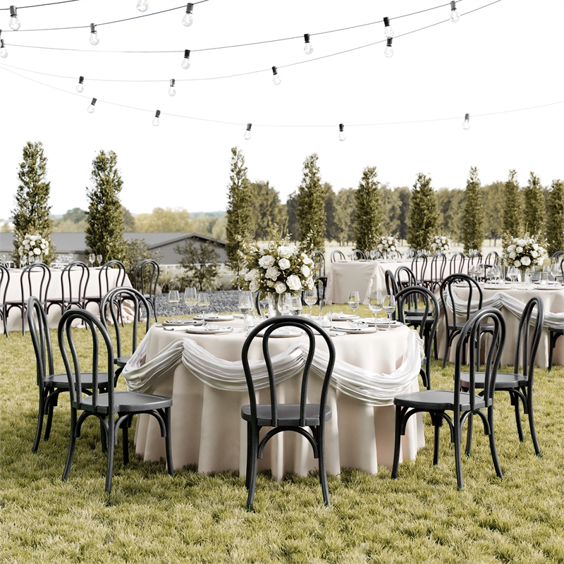 Bowery Hill Indoor/Outdoor Resin Thonet Style Chair in Black