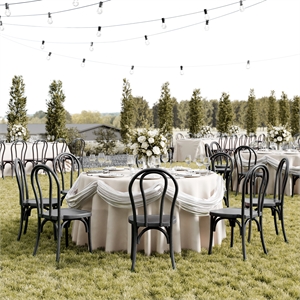 Bowery Hill Indoor/Outdoor Resin Thonet Style Chair in Black