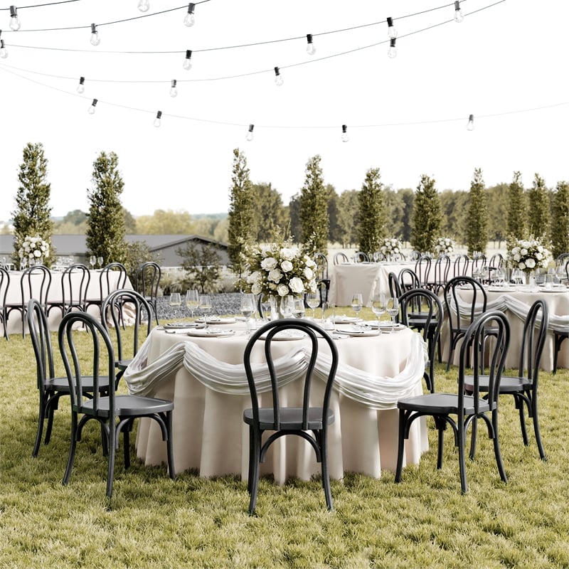 Bowery Hill Indoor/Outdoor Resin Thonet Style Chair in Black