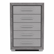 Bowery Hill Transitional Wood 5-Drawer Chest in Gray