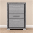 Bowery Hill Transitional Wood 5-Drawer Chest in Gray
