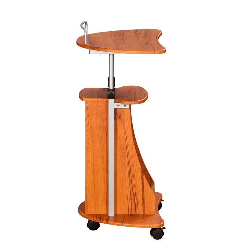 Pemberly Row Sit-to-Stand Rolling Laptop Cart with Storage in Wood Grain