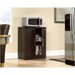Pemberly Row Engineered Wood Base Storage Cabinet in Dakota Oak
