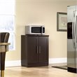 Pemberly Row Engineered Wood Base Storage Cabinet in Dakota Oak