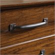 Pemberly Row Farmhouse Engineered Wood Lateral File Cabinet in Washington Cherry