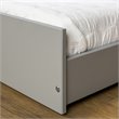Pemberly Row Twin Trundle in Gray