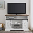 Pemberly Row Farmhouse Wood Barn Door TV Console for TVs up to 52