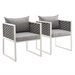 2 Armchairs/Gray and White