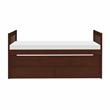 Pemberly Row 2-Drawers Wood Twin over Twin Trundle Bed in Dark Cherry