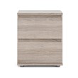 Pemberly Row Contemporary 2 Drawer Nightstand in Truffle
