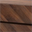 Pemberly Row Wood Shoe Cabinet in Walnut Brown