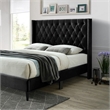 Pemberley Row Velvet Black Queen Platform Bed Rectangular Nailhead Trim Unassembled