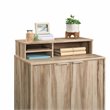Pemberly Row Engineered Wood Storage Drawer in Kiln Acacia Brown