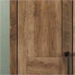 Pemberly Row 2-Door Engineered Wood Storage Cabinet in Rural Pine/Brown