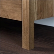 Pemberly Row 2-Door Engineered Wood Storage Cabinet in Rural Pine/Brown
