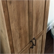Pemberly Row 2-Door Engineered Wood Storage Cabinet in Rural Pine/Brown