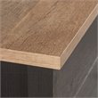 Pemberly Row 1-Drawer Coastal Engineered Wood Lateral File in Raven Oak