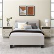 Pemberly Row 2-Drawer Bedroom Nightstand with USB in Birch (Set of 2)