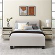 Pemberly Row 2-Drawer Bedroom Nightstand with USB in Birch (Set of 2)