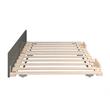 Pemberly Row Contemporary Solid Wood Twin Panel Trundle Bed in Gray