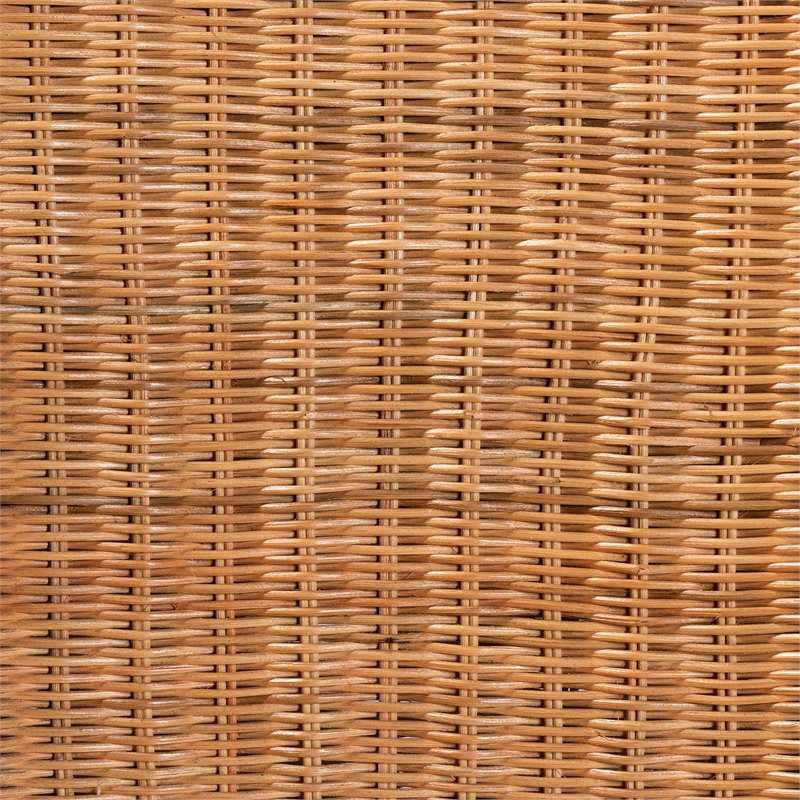 Pemberly Row Modern Natural Rattan and Mahogany Wood Counter Stool