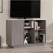 Pemberly Row Modern Engineered Wood Accent Storage in Ashen Oak
