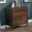 Pemberly Row Contemporary Engineered Wood/Metal Lateral File in Brew Oak