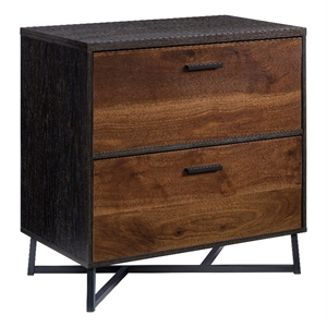 Pemberly Row Contemporary Engineered Wood/Metal Lateral File in Brew Oak