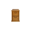 Pemberly Row Contemporary 2 Drawer Wood Filing Cabinet Natural