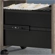 Pemberly Row 2 Drawer Mobile File Cabinet in Modern Hickory - Engineered Wood