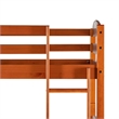 Pemberly Row Transitional Twin-over-Twin Solid Wood Bunk Bed Frame in Amber