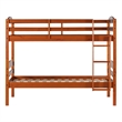 Pemberly Row Transitional Twin-over-Twin Solid Wood Bunk Bed Frame in Amber