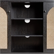 Pemberly Row Modern Arched Rattan 2-Door Wood Sideboard 58
