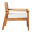 Pemberly Row Modern Solid Wood Outdoor Club Chair in Brown Finish