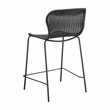 Pemberly Row Assembled Upholstered Rattan Counter Height Stools in Brown