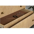 Pemberly Row Contemporary 5-Drawer Wood Chest in Sand Wash Finish