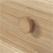 Pemberly Row 2-Drawer Engineered Wood Lateral File in Timber Oak