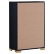 Pemberly Row Contemporary Wood Rectangular Chest in Black and Gold