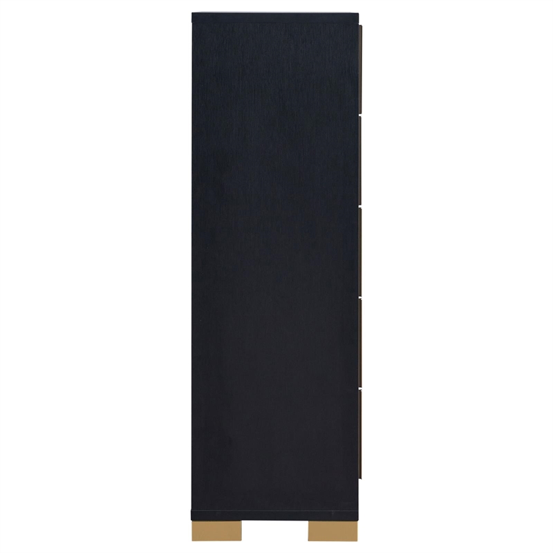 Pemberly Row Contemporary Wood Rectangular Chest in Black and Gold
