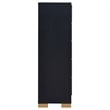 Pemberly Row Contemporary Wood Rectangular Chest in Black and Gold
