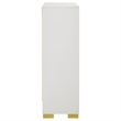 Pemberley Row Wood White and Gold Chest Rectangular 49.5