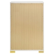 Pemberley Row Wood White and Gold Chest Rectangular 49.5