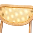 Pemberly Row Oak Brown Finished Wood and Rattan 2-Piece Dining Chair Set