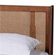 Pemberly Row Contemporary Wood Queen Size Platform Bed in Walnut Brown