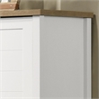Pemberly Row 2-Door Engineered Wood Storage Cabinet in White
