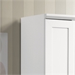 Pemberly Row 2-Door Engineered Wood Storage Cabinet in White