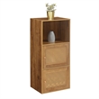 Pemberly Row Two-Door Cabinet with Shelf in Caramel Wood Frame Finish