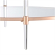Pemberly Row Two-Tier Clear Acrylic Glass Coffee Table with Gold & Chrome Frame