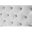 Pemberly Row Tufted Crystals Queen Platform Bed in White/Silver Base